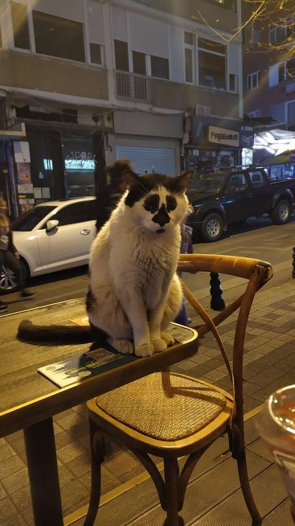 Hiç Pub Kadıköy fotoğraf 2