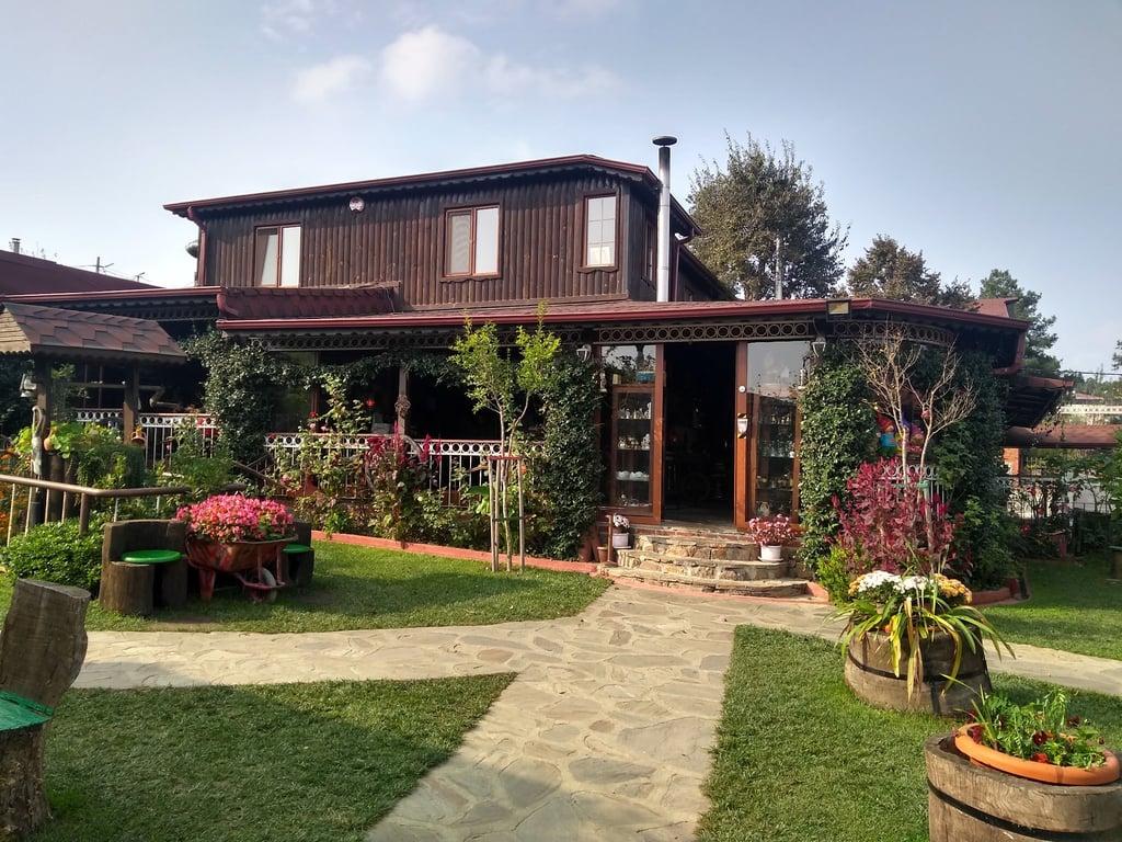 Kurna Nar Ağacı fotoğraf 10