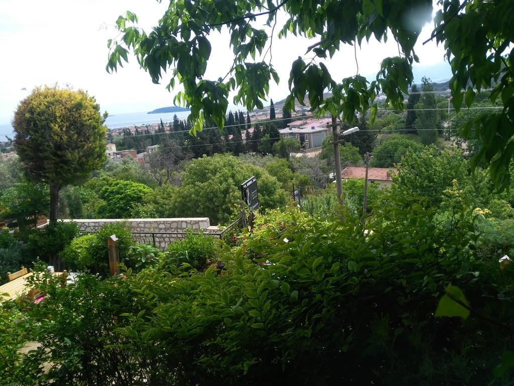 Cafe Messt Restaurant fotoğraf 20