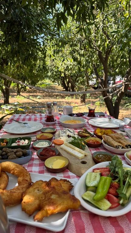 Kuytu Bahçe Bodrum fotoğraf 2