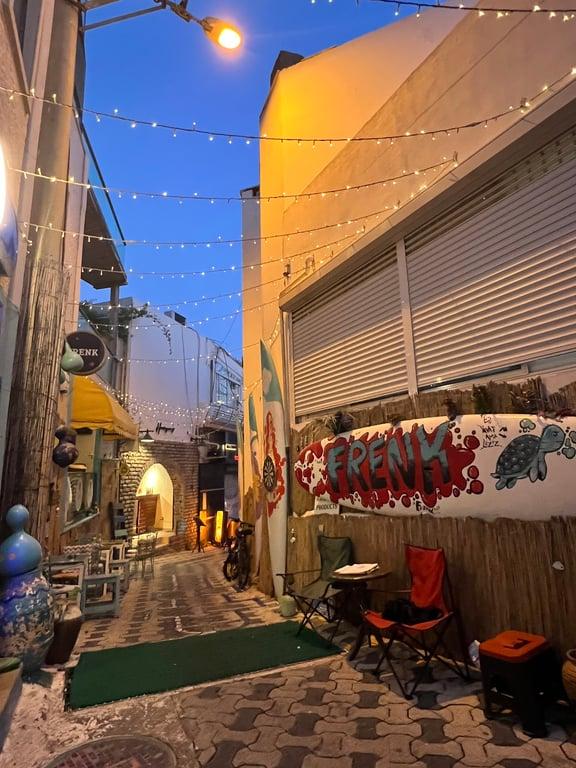 Frenk Bodrum fotoğraf 7