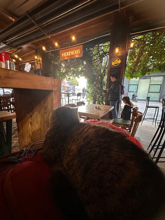 Akdeniz Kafe fotoğraf 4