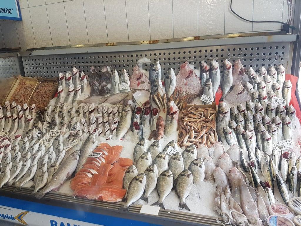 Yıldız Yakamoz Balık Restaurant fotoğraf 11