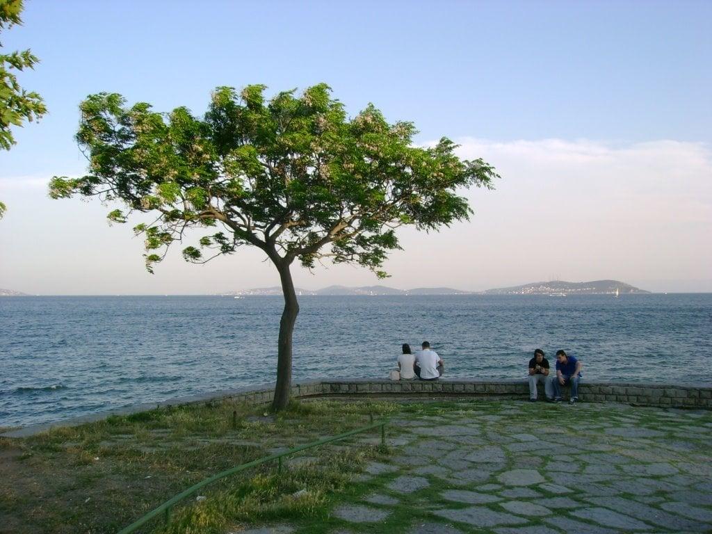 Fenerbahçe Parkı fotoğraf 6