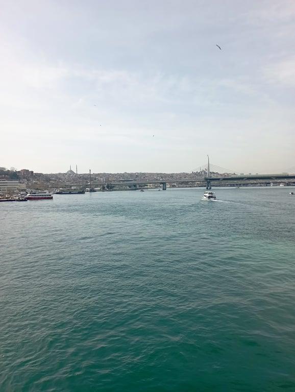 Galata İstanbul Balık fotoğraf 11