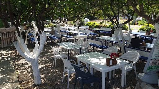 Bodrum Hayat Kahvaltı Evi
