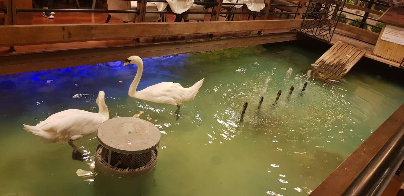 Tavacı Recep Usta Ümitköy - Ankara fotoğraf 4