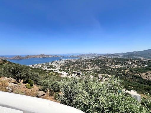 Panorama Pasanda Restaurant fotoğraf 5