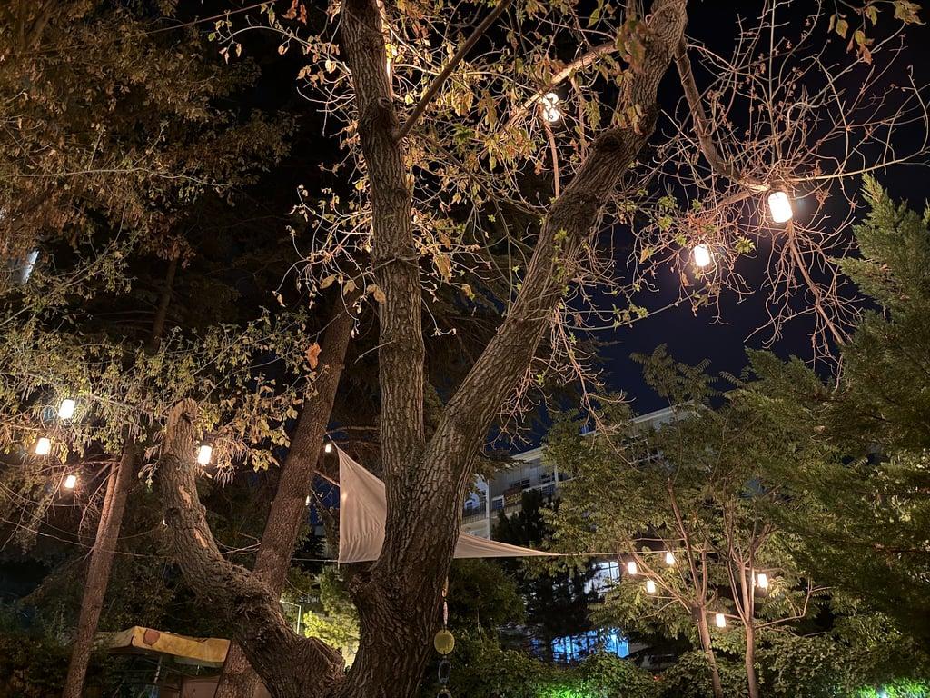 Meymenet Meyhane fotoğraf 12