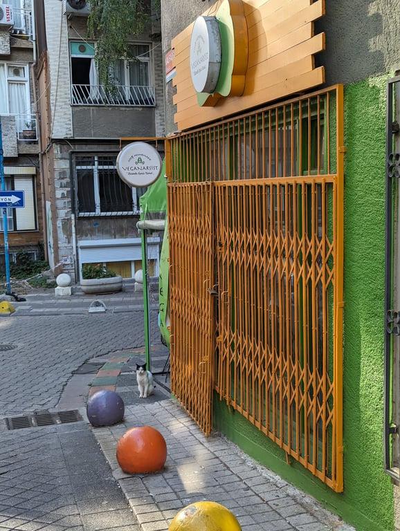 VEGANARSİST - KADIKÖY fotoğraf 18