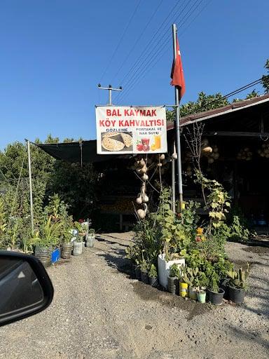 BALKAYMAK GÖZLEME ORGANİK ÜRÜNLER fotoğraf 5