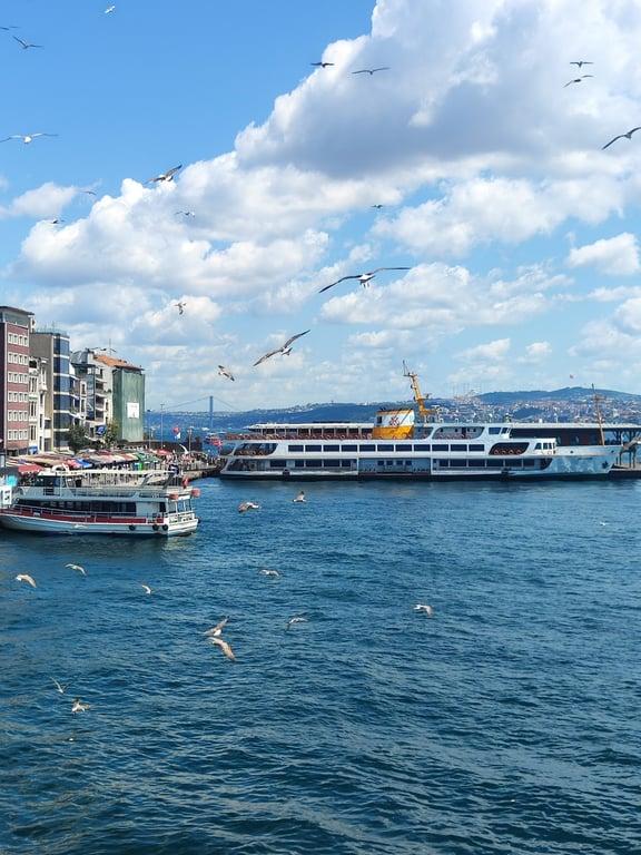 Galata Junior Restaurant fotoğraf 10