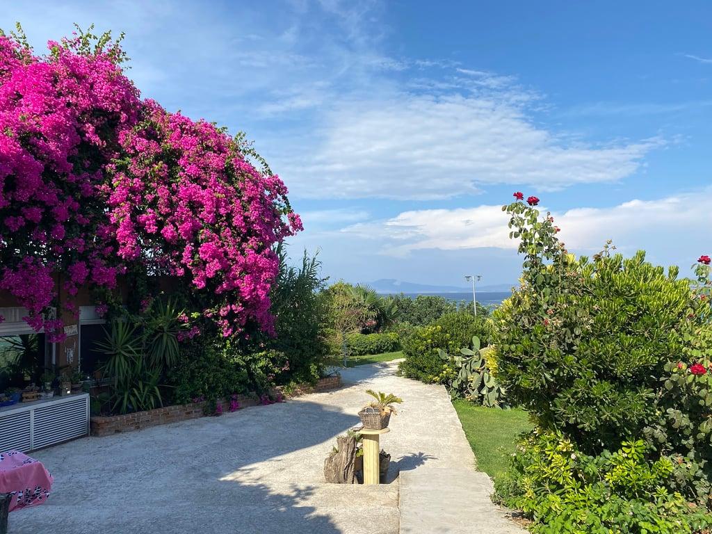 Bonjour Beach fotoğraf 1