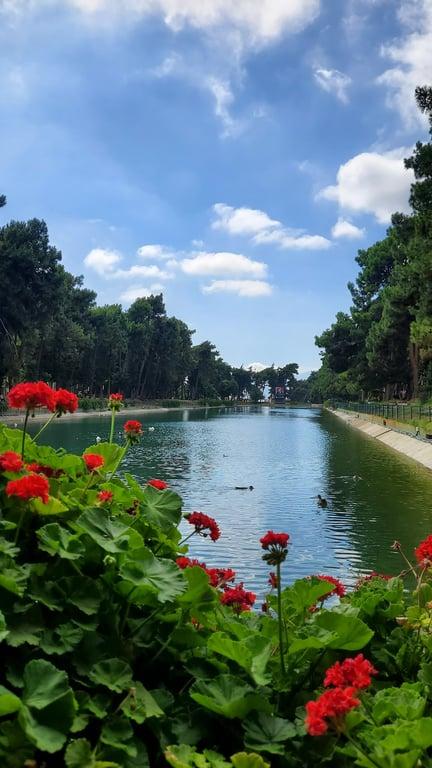 Hidro Tesisleri fotoğraf 10