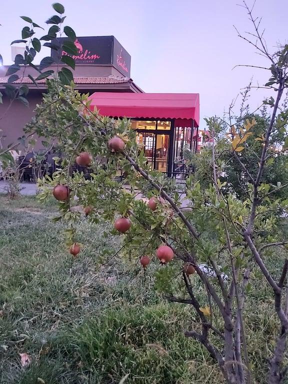 Rumelim Restaurant fotoğraf 9