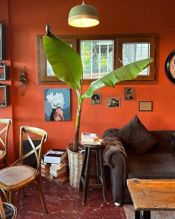 Chez La Vie Coffee & Eatery fotoğraf 8