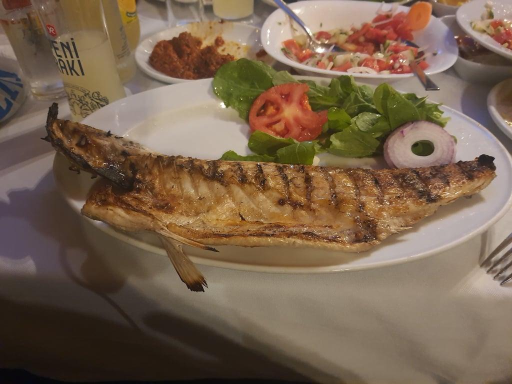 Keyif Nevizade fotoğraf 8