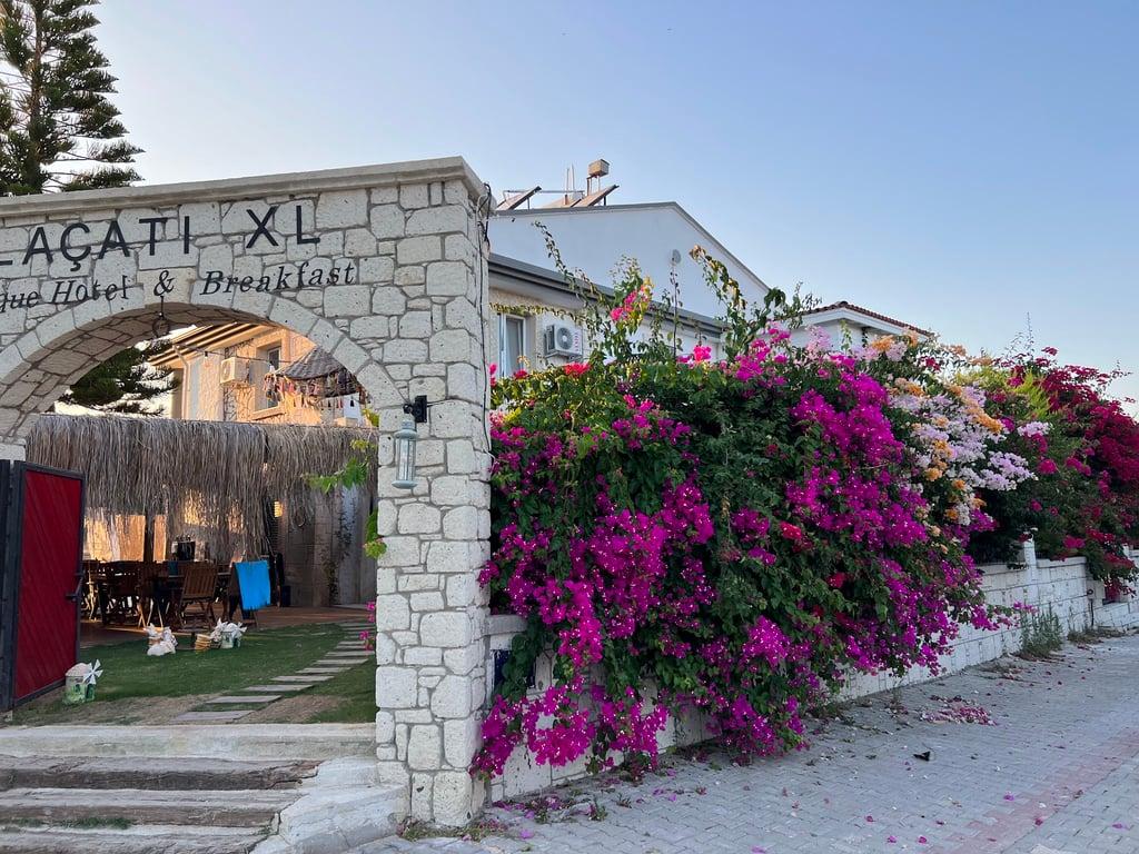 Alaçatı XL Kahvaltı & konaklama fotoğraf 21