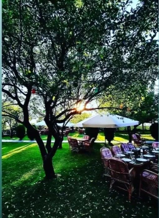 Çınarlı Cafe & Restaurant