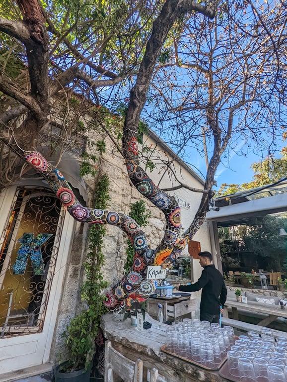 Kapari Bahçe fotoğraf 9