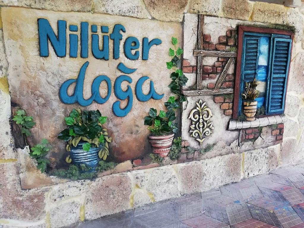 Nilüfer Doğa Restaurant fotoğraf 4