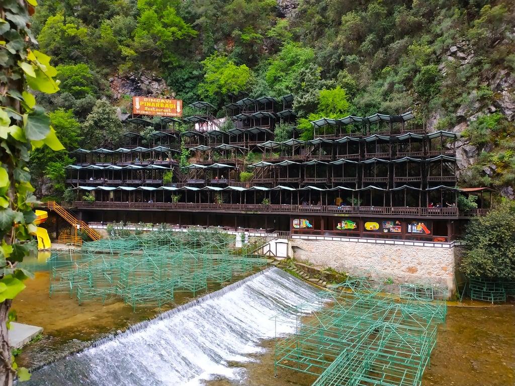 Dimçayı Pınarbaşı Restaurant fotoğraf 11