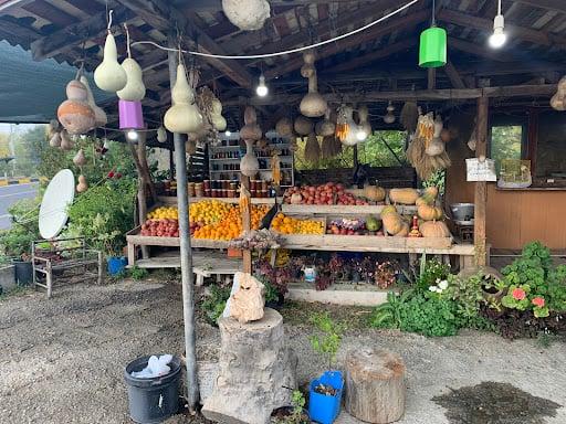 BALKAYMAK GÖZLEME ORGANİK ÜRÜNLER