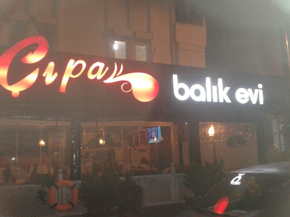 Çıpa Balık Pisiricisi fotoğraf 4
