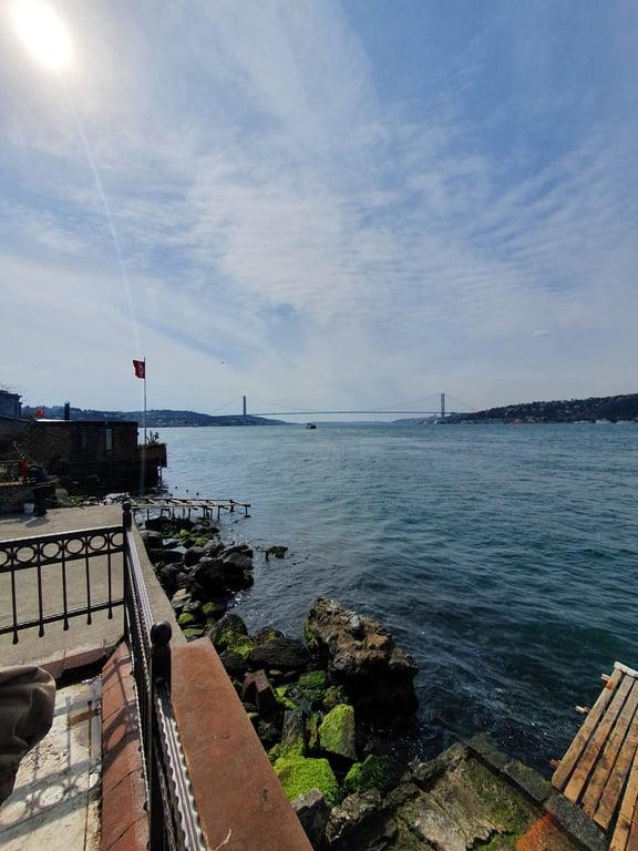 Chacha Balık fotoğraf 8