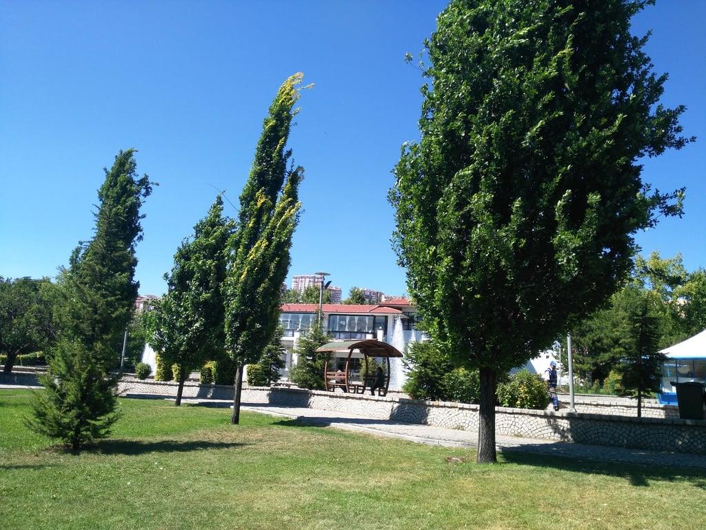 Hâcegân Sofrasi fotoğraf 17