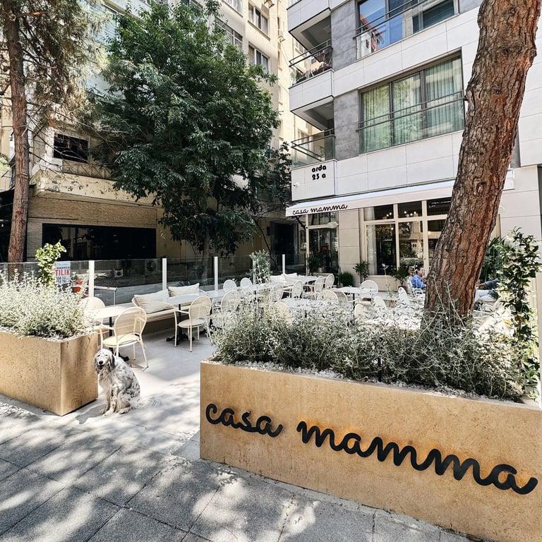 Casa Mamma fotoğraf 2