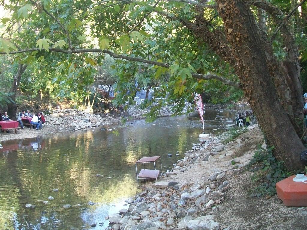 Misi Kahvaltı Mekanı fotoğraf 3