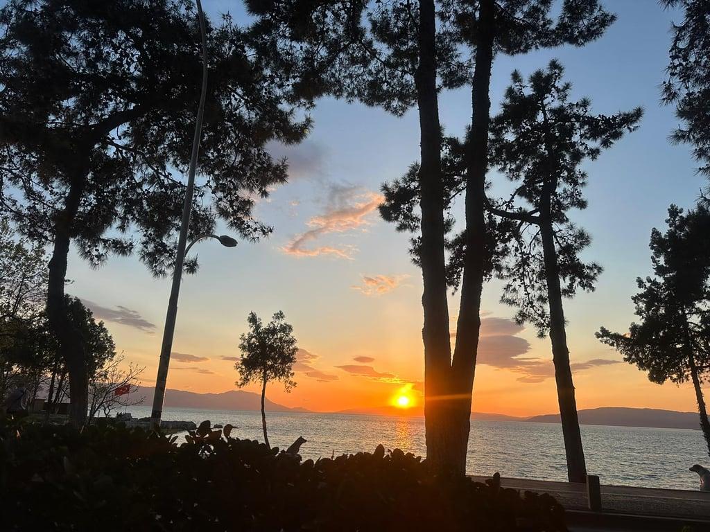 İznik Çamlık Restaurant fotoğraf 4