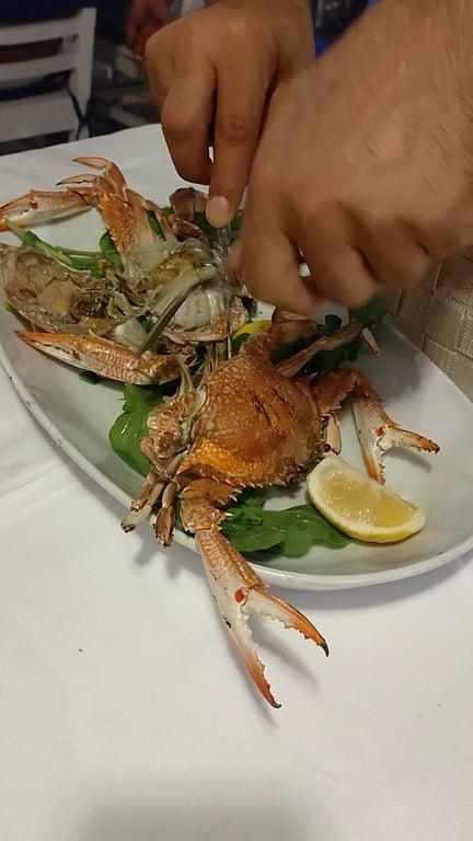 Körfez Restaurant fotoğraf 2