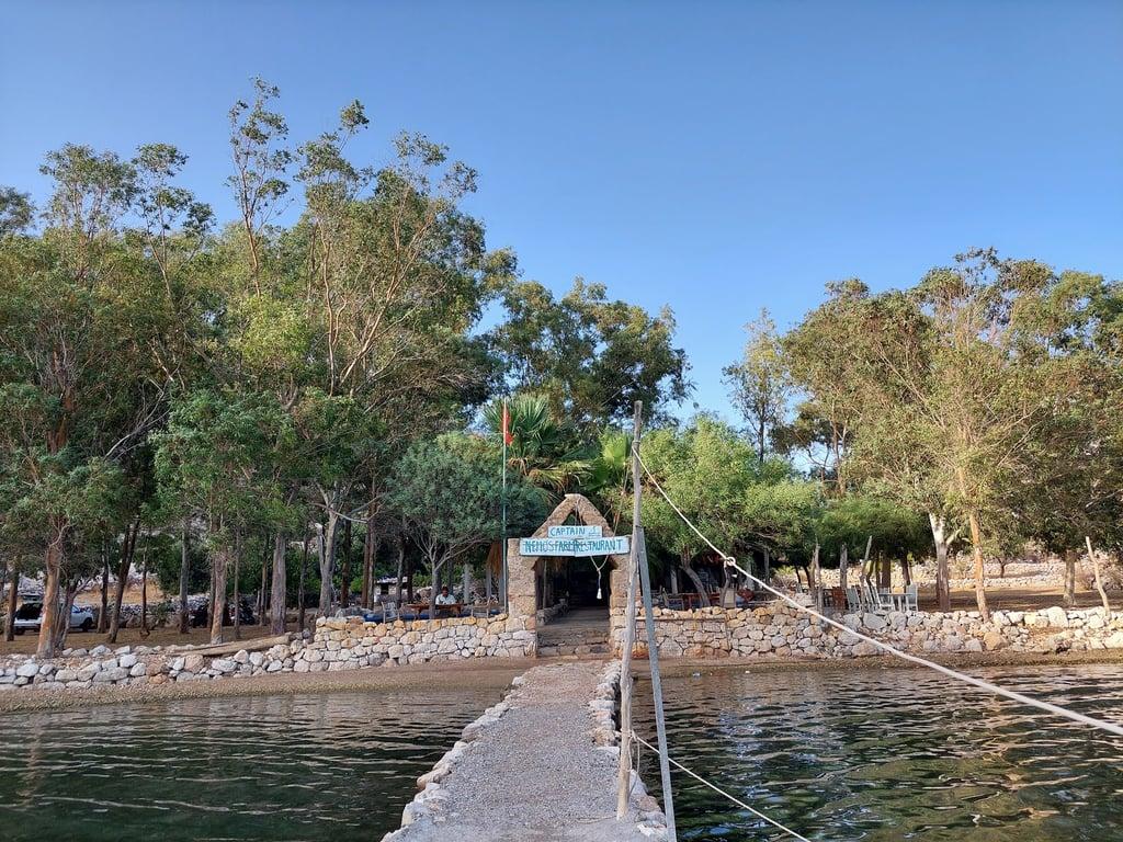 Captain Nemo's Farm Restaurant fotoğraf 4