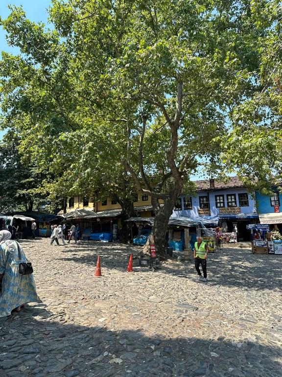 Asma Altı Gözleme ve Kahvaltı Evi fotoğraf 4