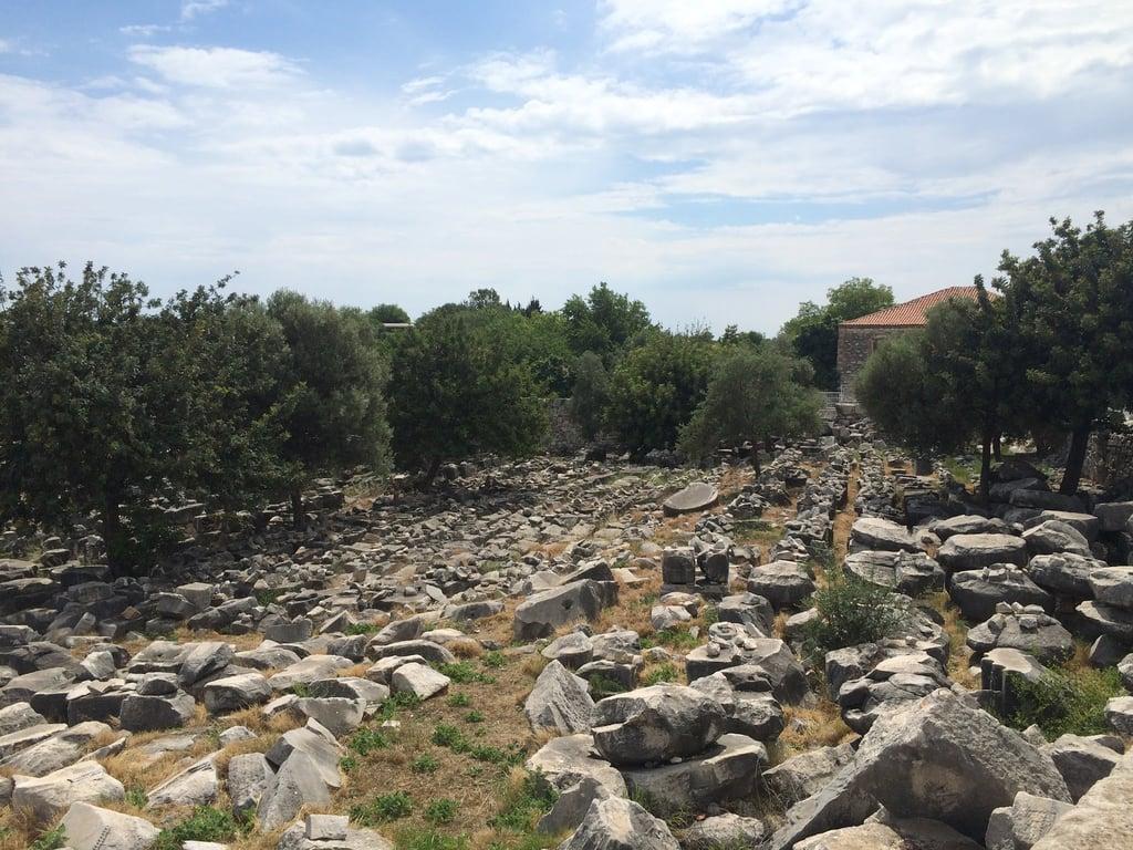 Apollon Restoran fotoğraf 5
