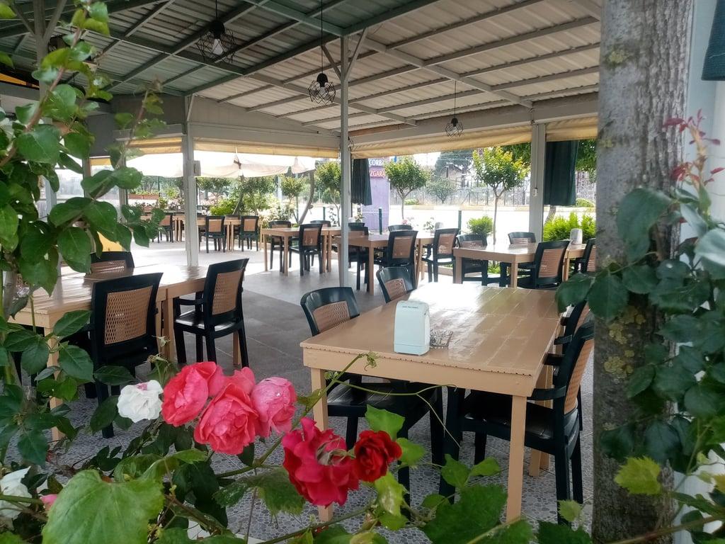 Sardunya Köfte Pide Lahmacun fotoğraf 5