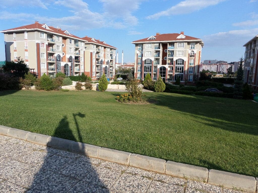 Abelia Konakları