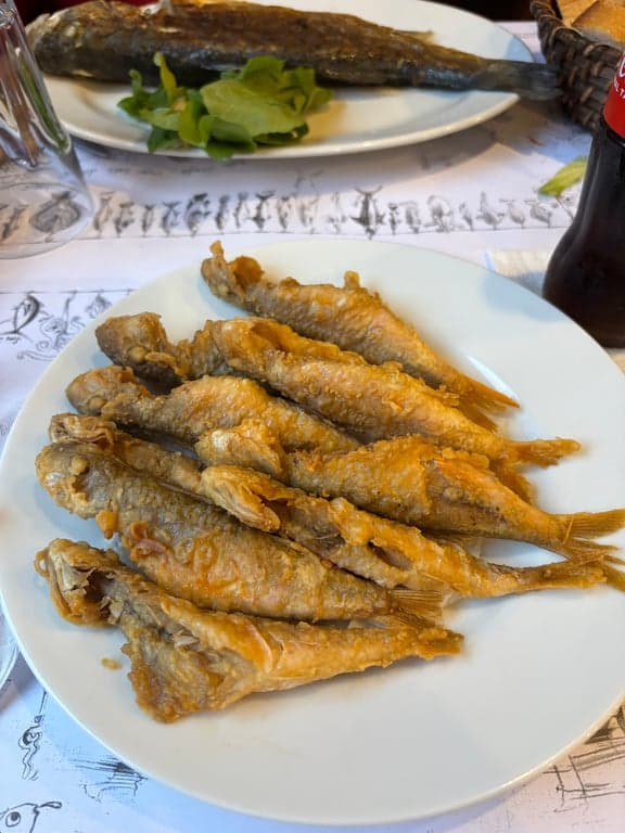 Adem Baba fotoğraf 14