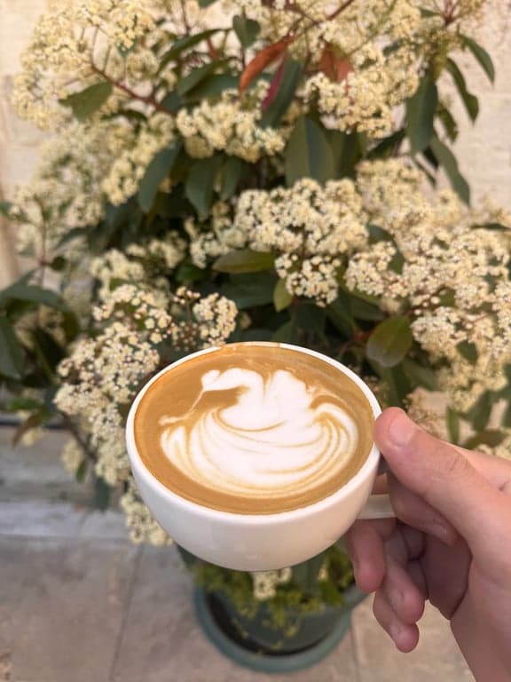 Ala Sofya Art & Coffee fotoğraf 4