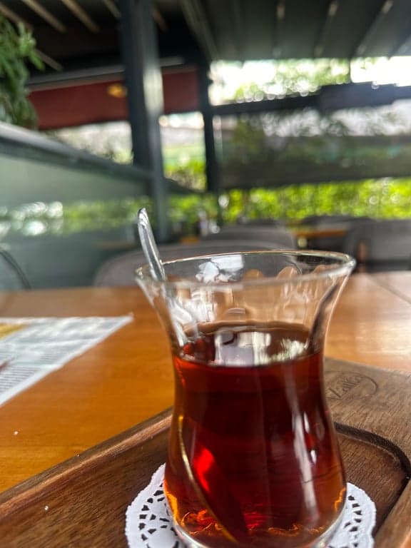ANATOLİAN ZAİKA fotoğraf 13