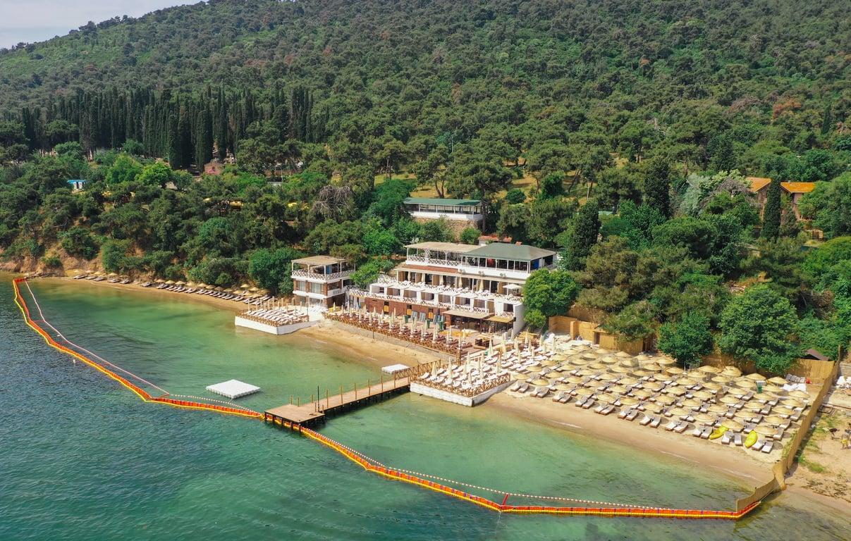 Ank'Ada Ayanikola fotoğraf 6