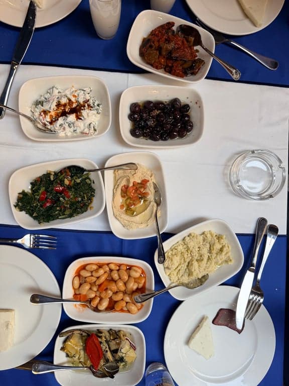 Aşina Asmalı fotoğraf 7