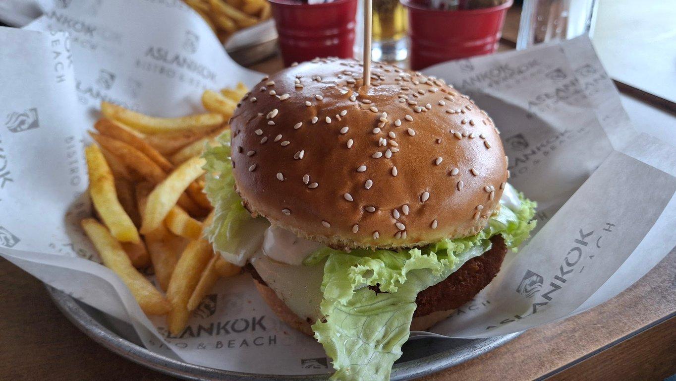 Aslankök Bistro fotoğraf 2