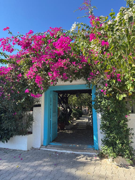 Asmalı Çardak Kahvaltı Evi fotoğraf 14