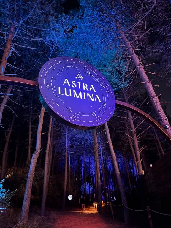 Astra Lumina İstanbul fotoğraf 4