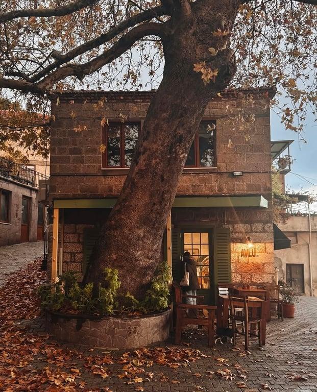 Avlu124 Coffee Bar fotoğraf 6
