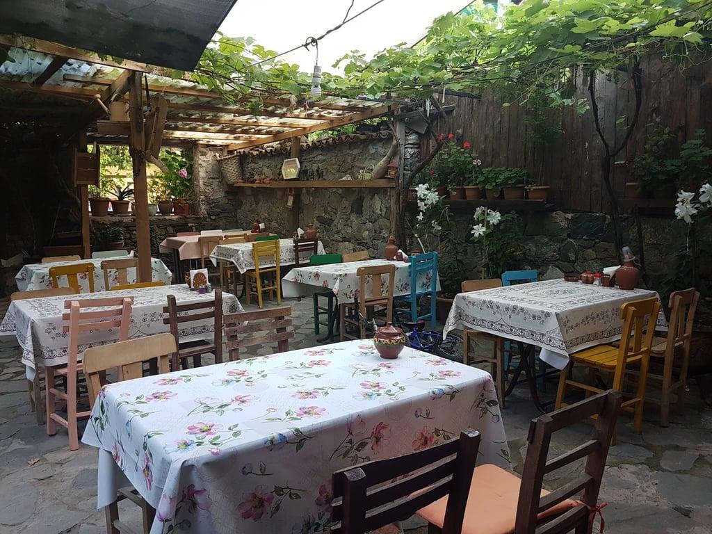 Asma Altı Gözleme ve Kahvaltı Evi