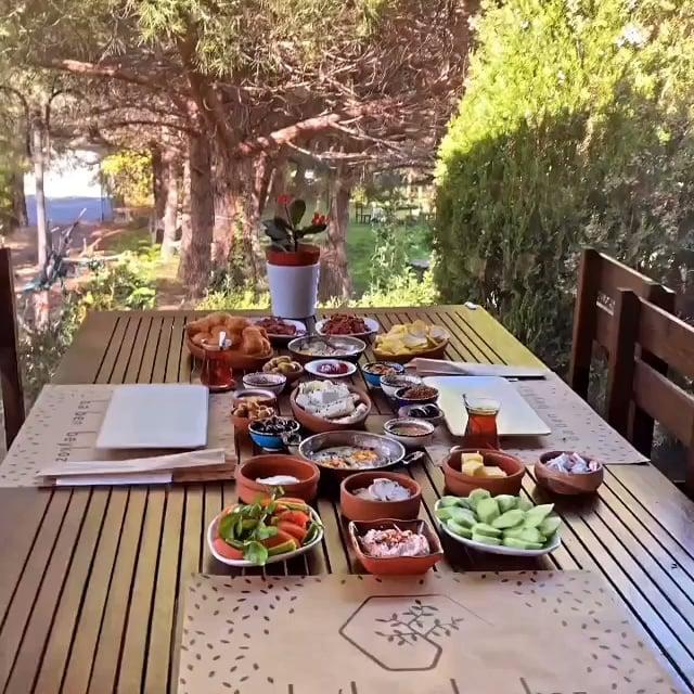Baben Beykoz fotoğraf 2